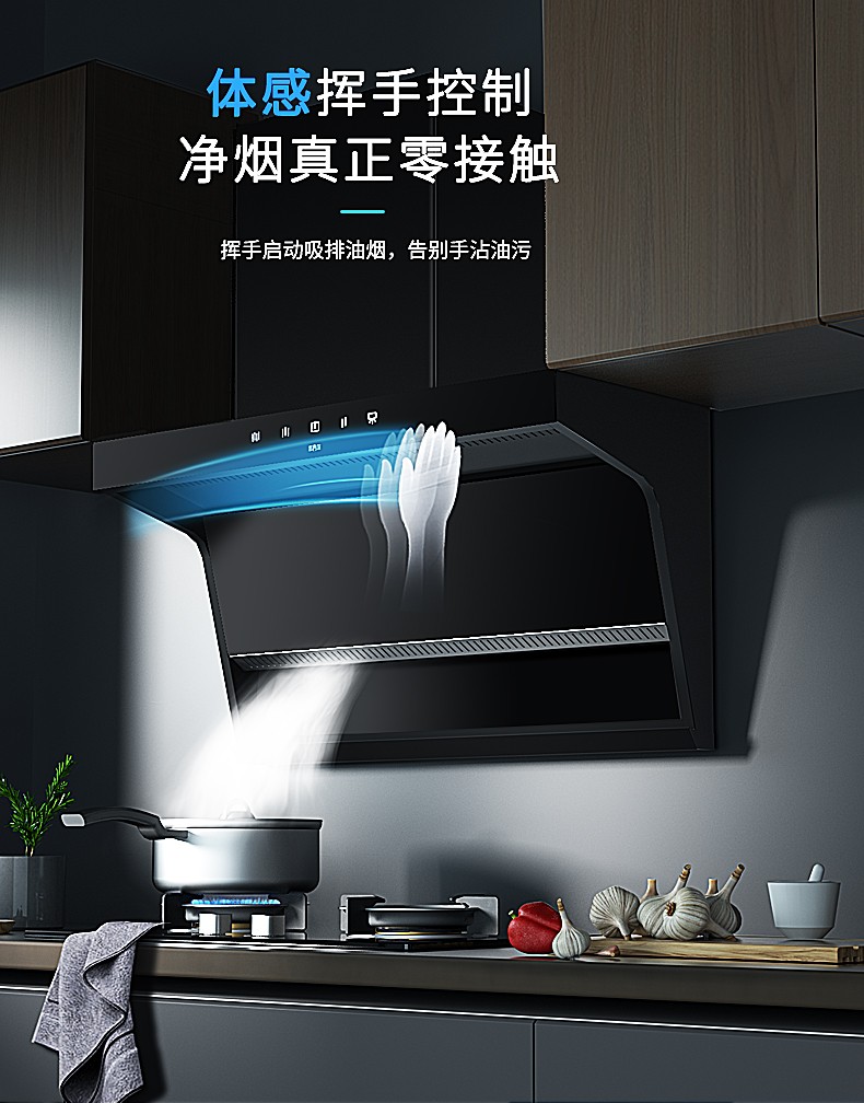 油烟机cx317-油烟机-绍兴市海乐电器有限公司(莱普电器)